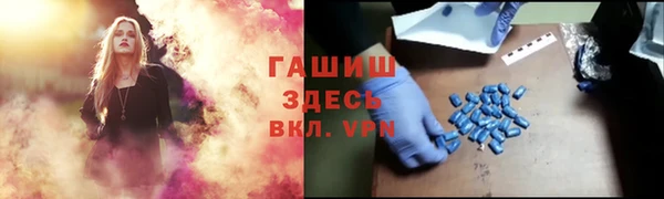 PSILOCYBIN Алзамай