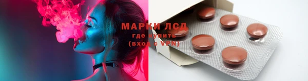 PSILOCYBIN Алзамай