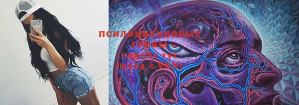 PSILOCYBIN Алзамай