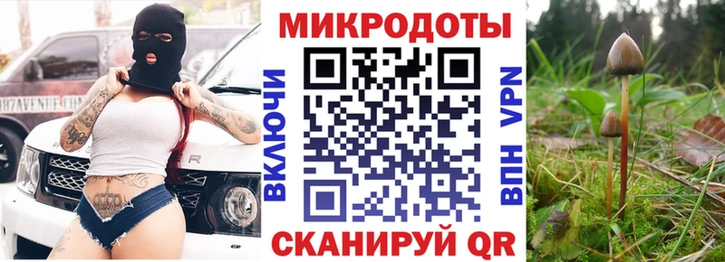 Псилоцибиновые грибы ЛСД  Купить  Губкинский 